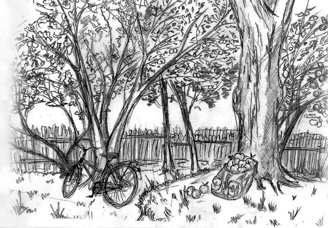 Иллюстрация к рассказу "За яблоками" из книги Ильи Миронова "От чистого истока..."